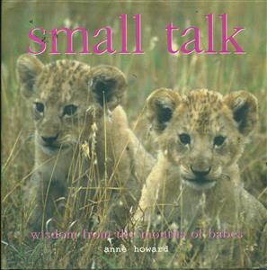 small talk/داستان بلند