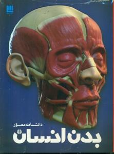 دانشنامه بدن انسان/سایان