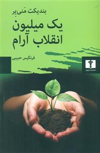 یک میلیون انقلاب ارام/نیلوفر