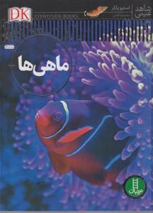 شاهد عینی ماهی ها/ نردبان