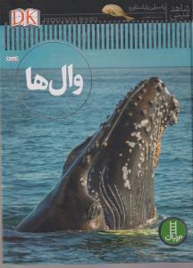 شاهد عینی وال ها/نردبان
